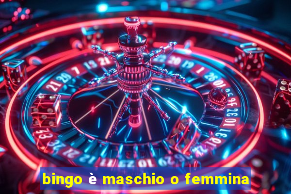 bingo è maschio o femmina