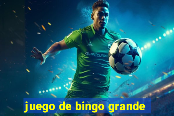 juego de bingo grande