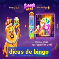 dicas de bingo