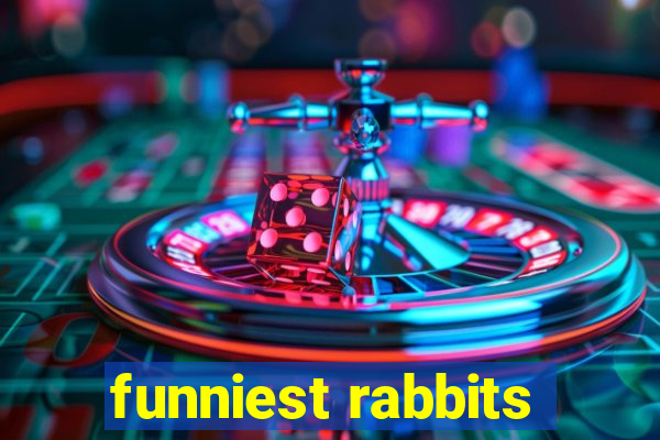 funniest rabbits