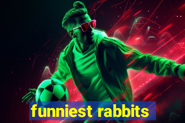 funniest rabbits