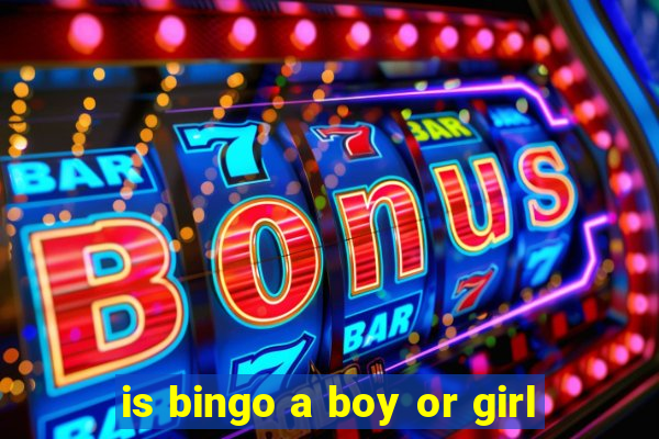 is bingo a boy or girl