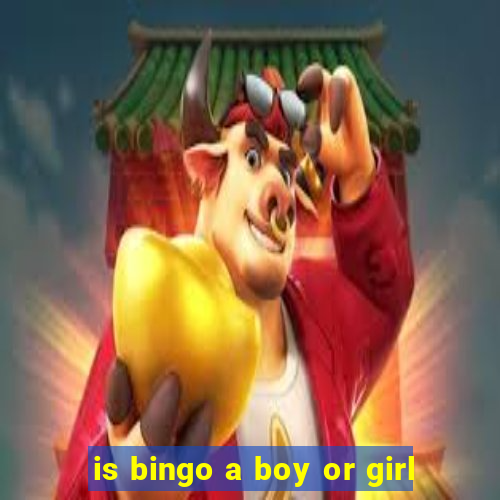 is bingo a boy or girl