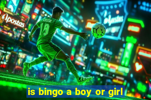 is bingo a boy or girl