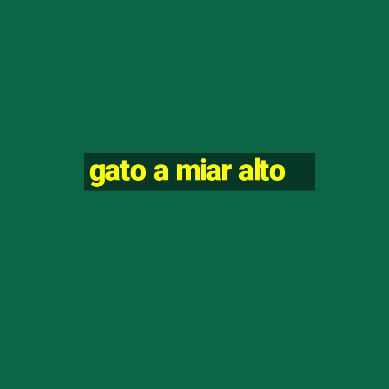 gato a miar alto