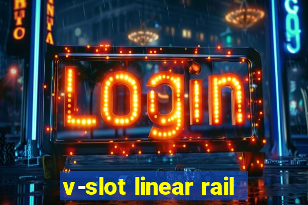 v-slot linear rail