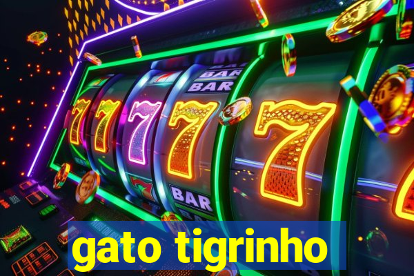 gato tigrinho