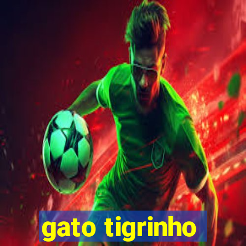 gato tigrinho