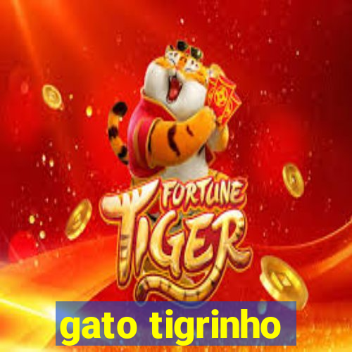 gato tigrinho