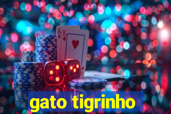 gato tigrinho