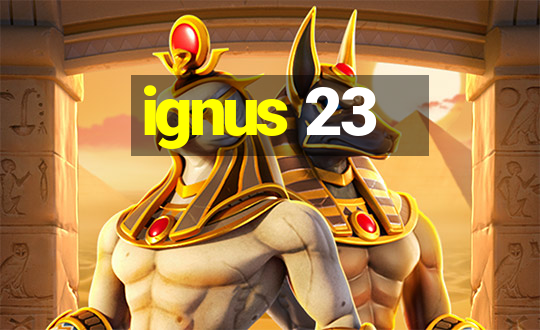 ignus 23