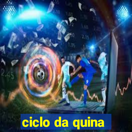 ciclo da quina