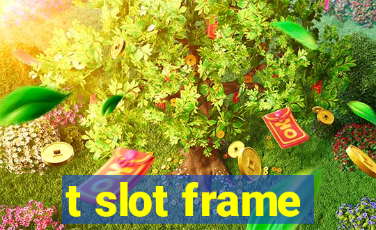 t slot frame