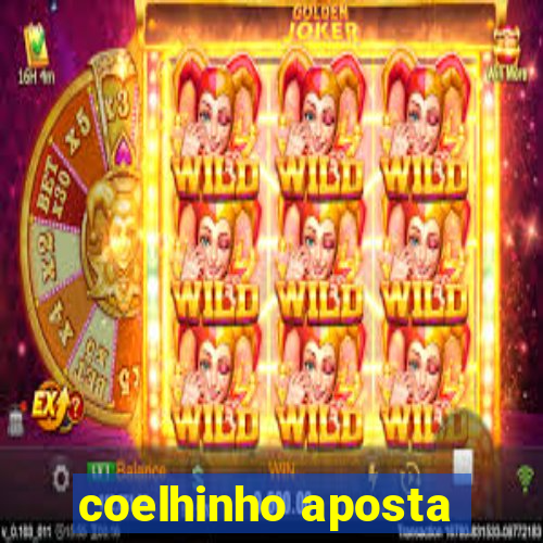 coelhinho aposta