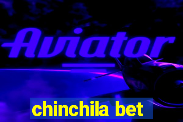 chinchila bet