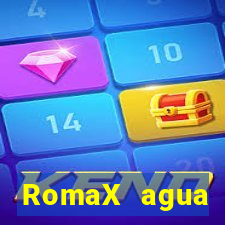 RomaX agua sanitaria fispq agua sanitaria romax