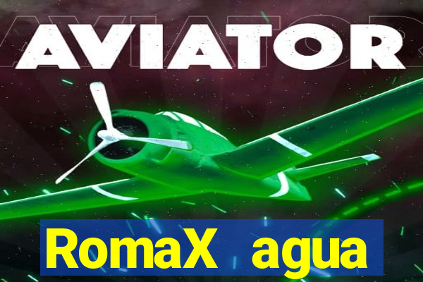 RomaX agua sanitaria fispq agua sanitaria romax