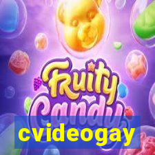 cvideogay