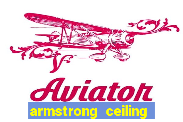 armstrong ceiling grid slot punch