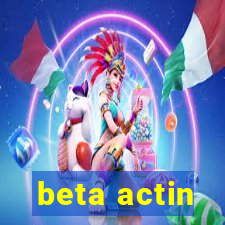 beta actin