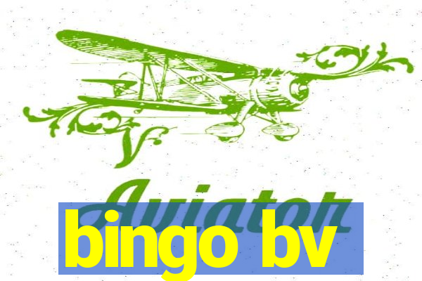 bingo bv