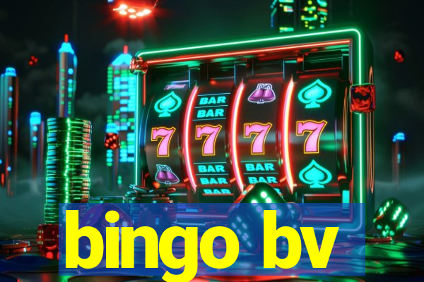 bingo bv