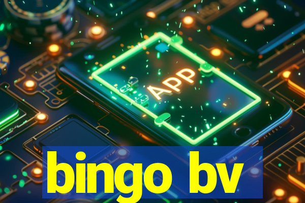 bingo bv