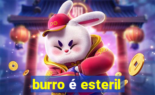 burro é esteril