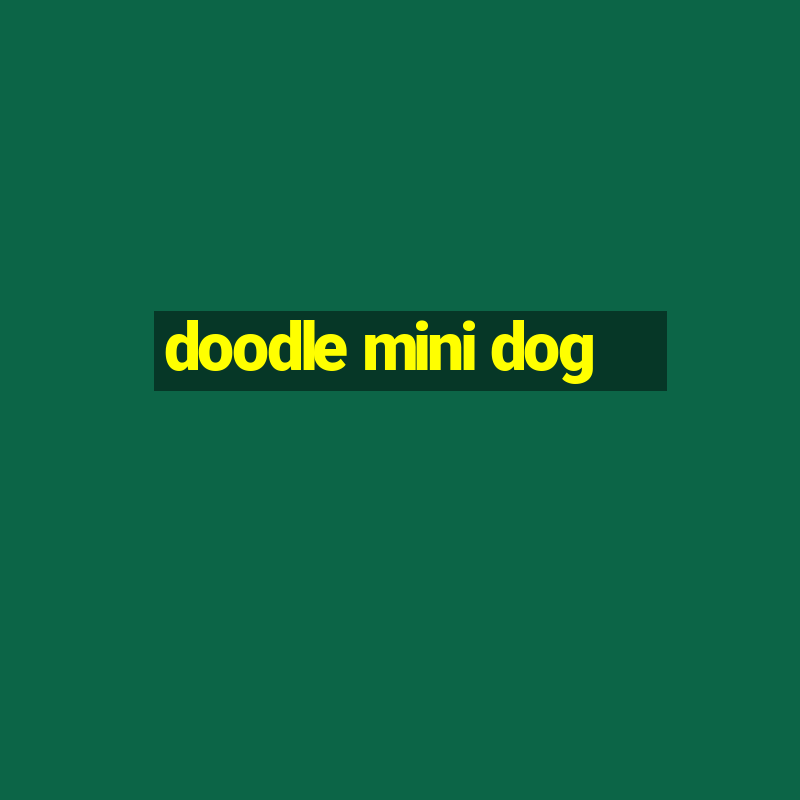 doodle mini dog