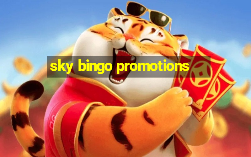 sky bingo promotions