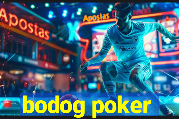 bodog poker