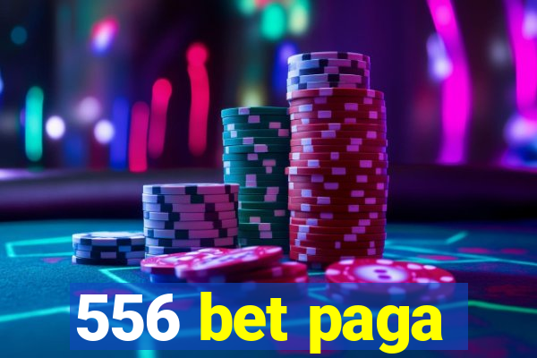 556 bet paga