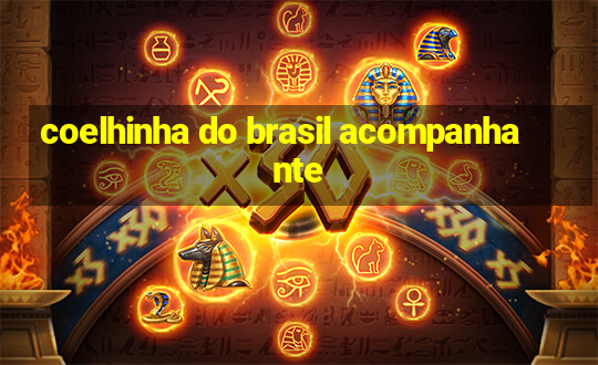 coelhinha do brasil acompanhante