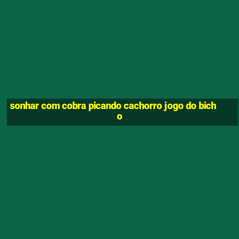 sonhar com cobra picando cachorro jogo do bicho