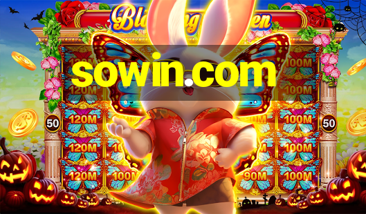 sowin.com