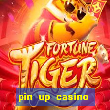 pin up casino login india