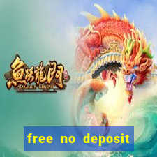 free no deposit bingo bonus