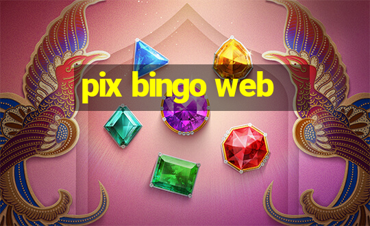 pix bingo web