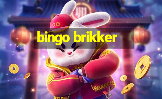 bingo brikker