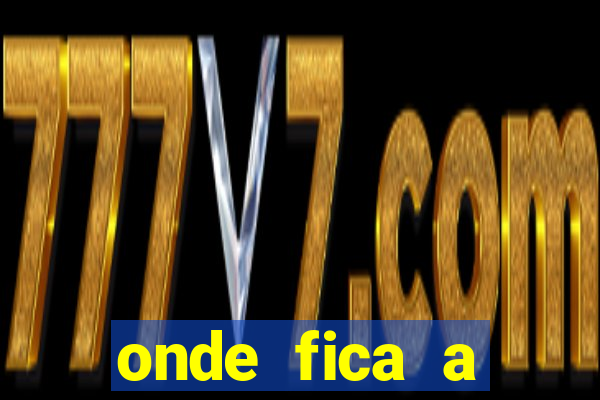 onde fica a torcida organizada do flamengo