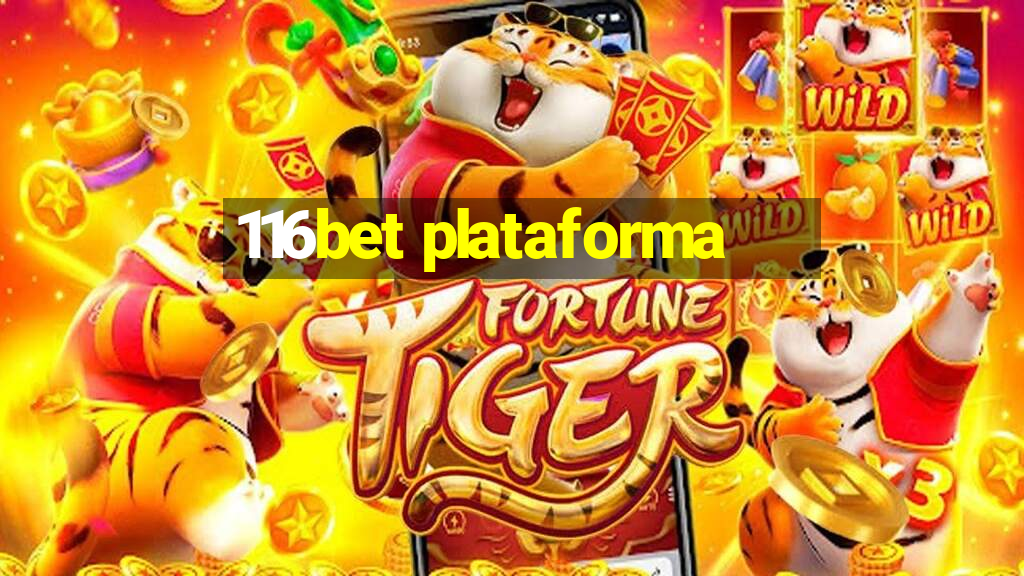 116bet plataforma