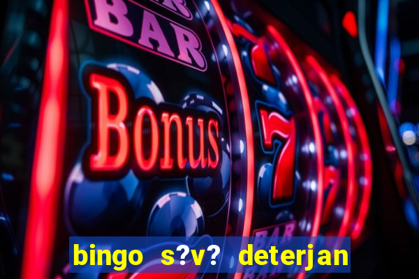 bingo s?v? deterjan 4 lt