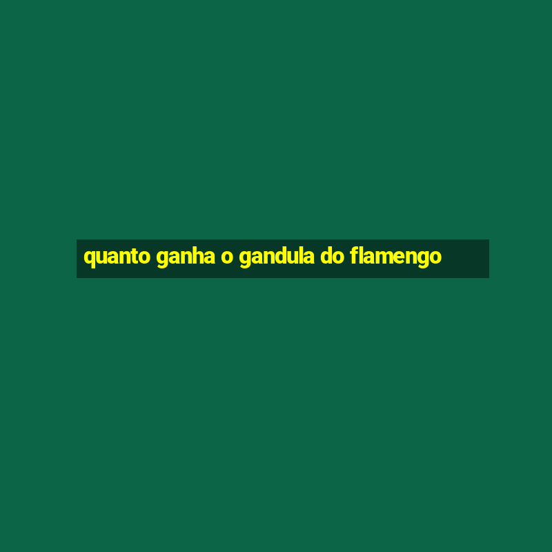 quanto ganha o gandula do flamengo