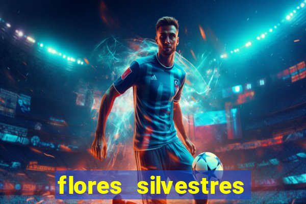 flores silvestres desbravadores desbravadores 25