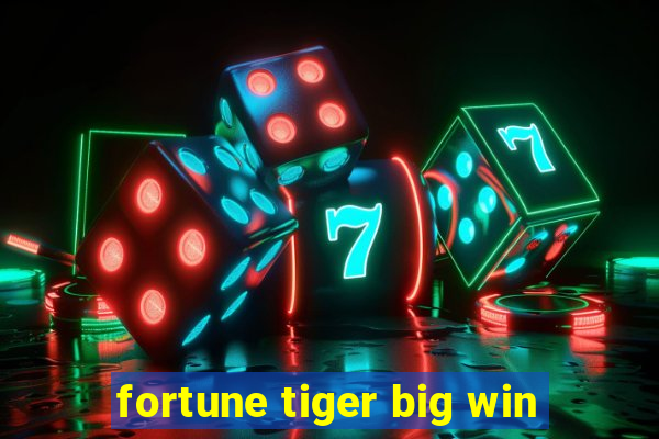 fortune tiger big win