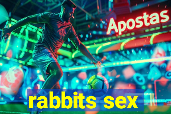 rabbits sex