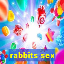 rabbits sex