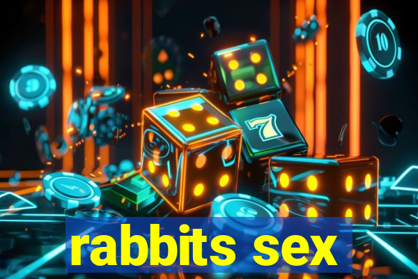 rabbits sex