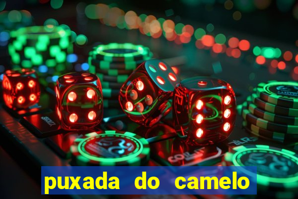 puxada do camelo no jogo do bicho