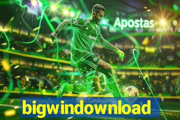 bigwindownload